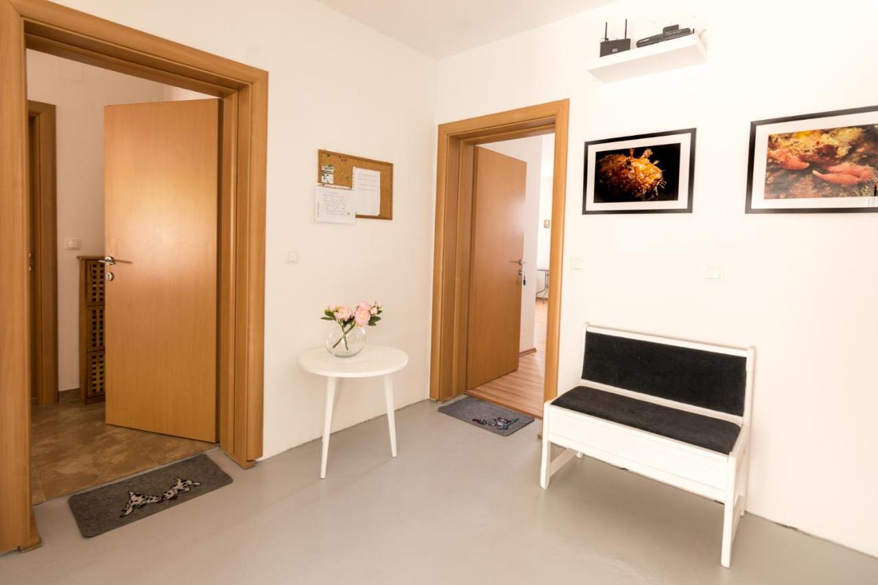 Apartments Veronika パグ エクステリア 写真